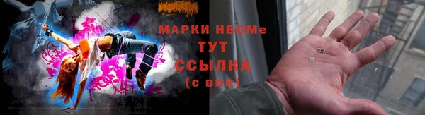 гидра Абаза
