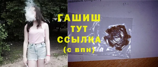 гидра Абаза