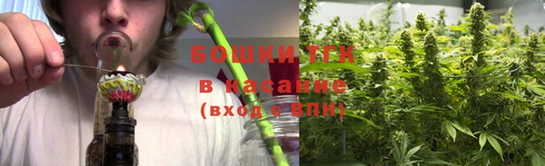 тгк Алексин
