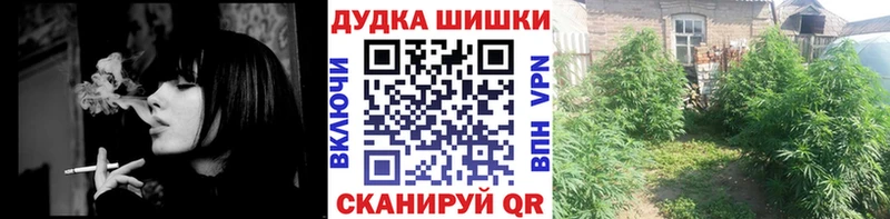 Бошки марихуана конопля  магазин продажи   Берёзовка 